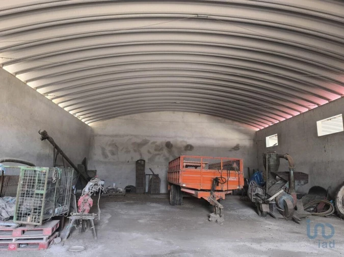 Negócio para Venda em Cano Foto 3