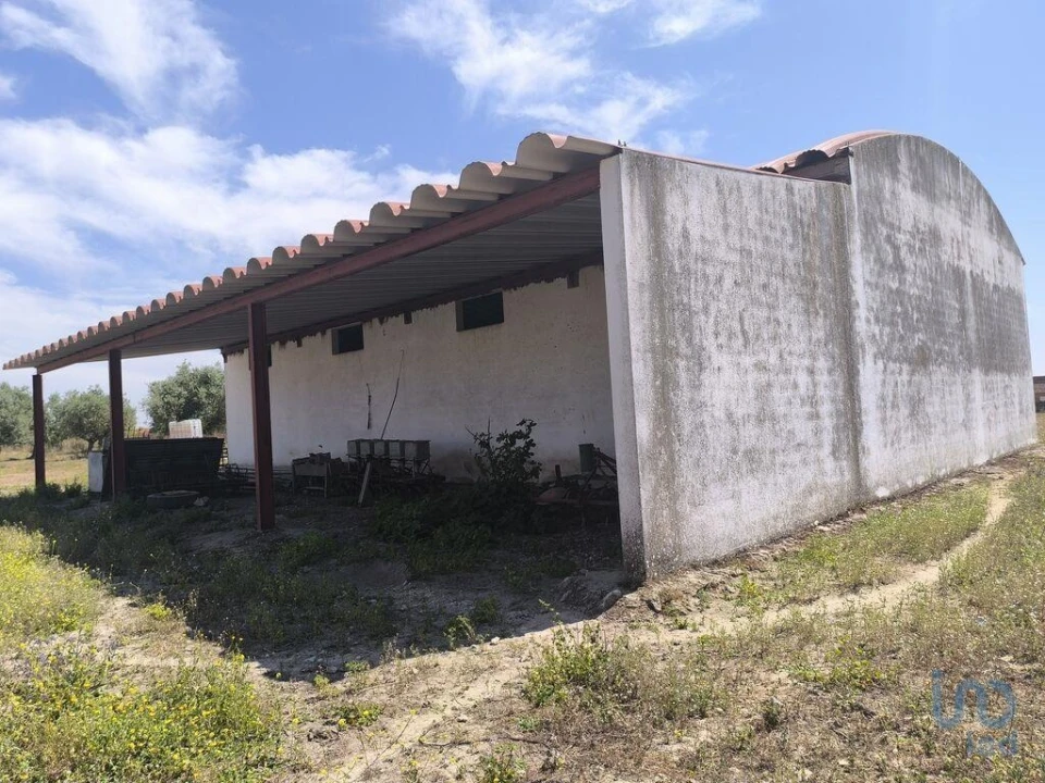 Negócio para Venda em Cano Foto 8