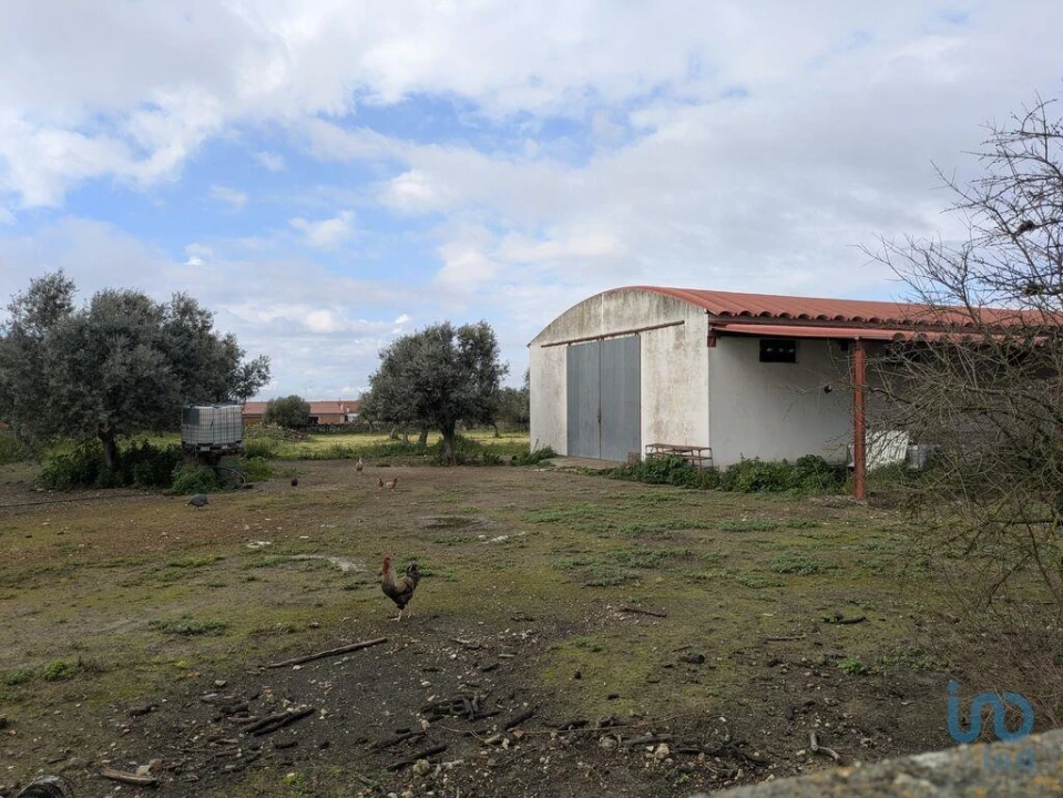 Negócio para Venda em Cano Foto 13