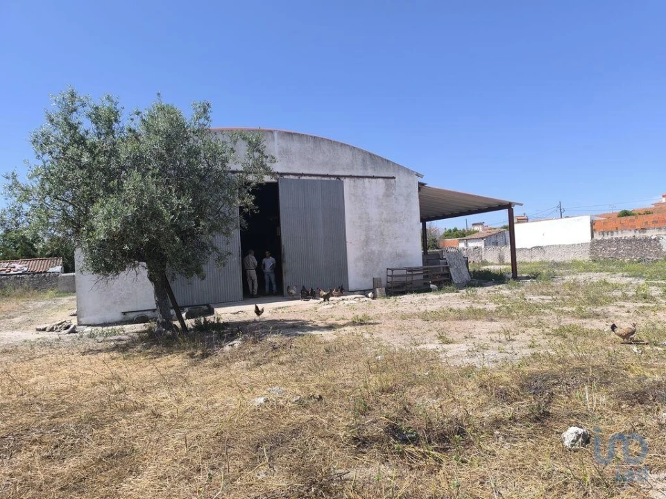 Negócio para Venda em Cano Foto 4