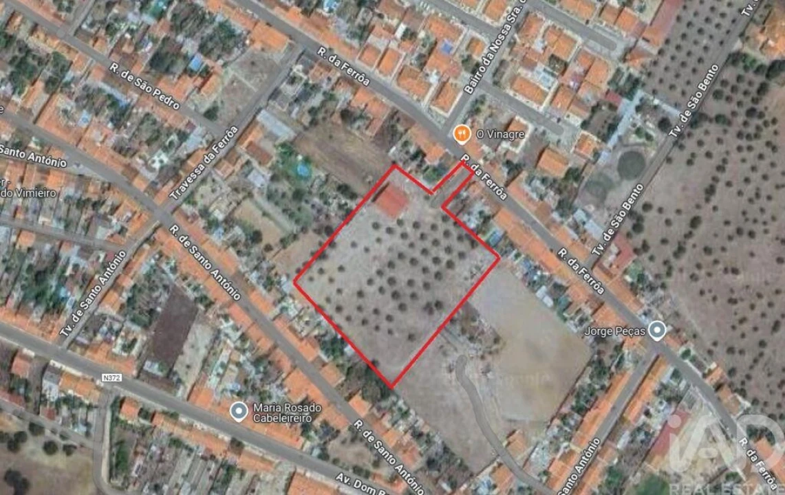 Negócio para Venda em Cano Foto 24