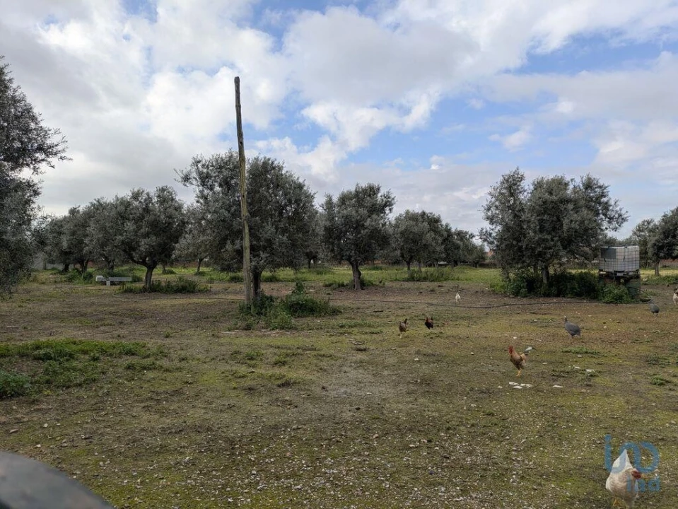 Negócio para Venda em Cano Foto 10