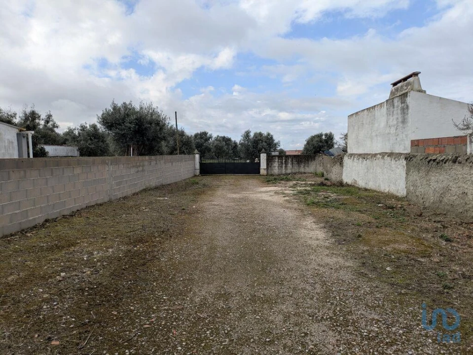 Negócio para Venda em Cano Foto 9