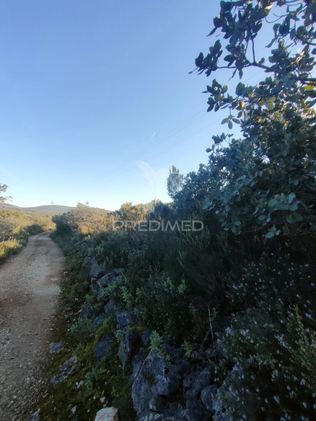 Terreno para Venda em Monsanto Foto 2