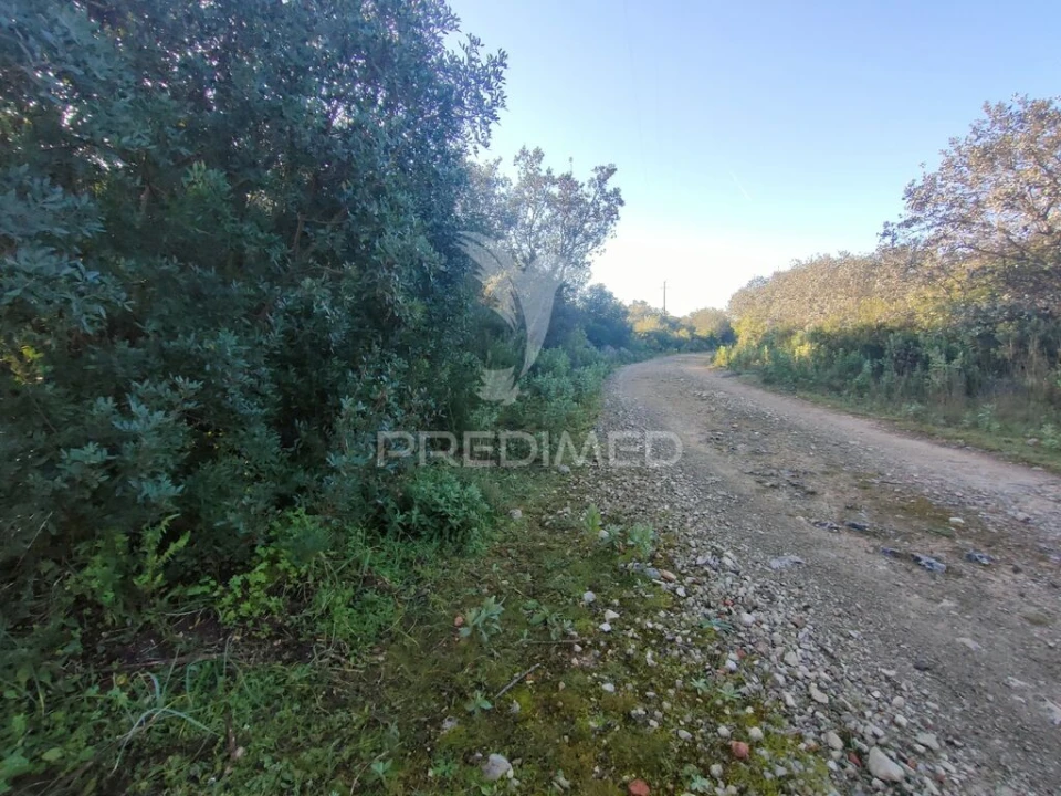 Terreno para Venda em Monsanto Foto 9