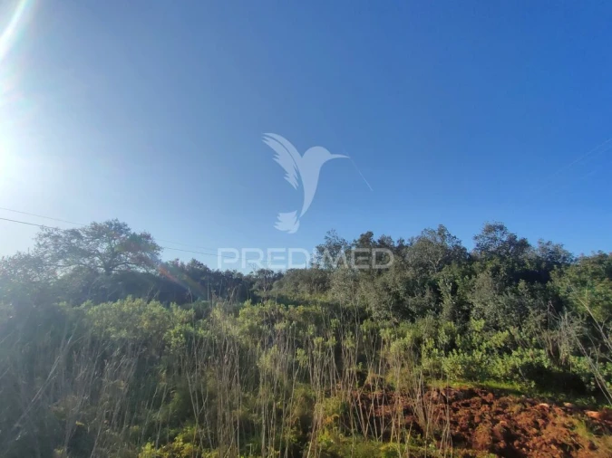 Terreno para Venda em Monsanto Foto 6