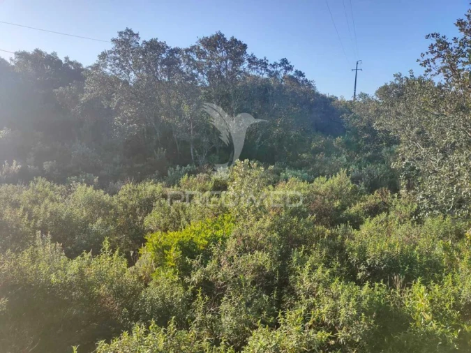 Terreno para Venda em Monsanto Foto 12