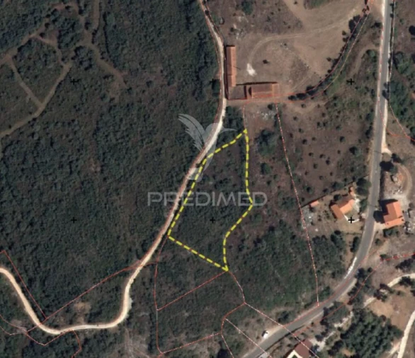 Terreno para Venda em Monsanto Foto 15