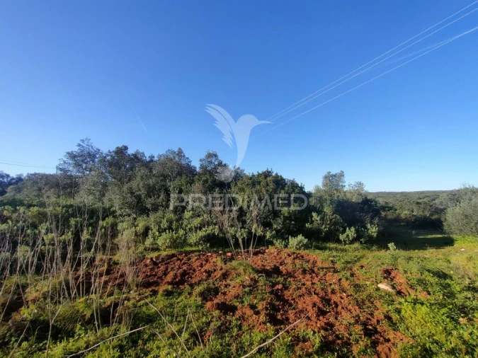 Terreno para Venda em Monsanto Foto 8