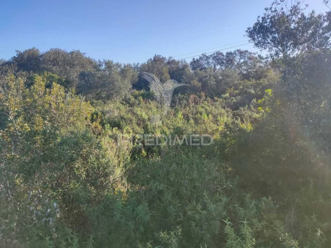 Terreno para Venda em Monsanto Foto 11