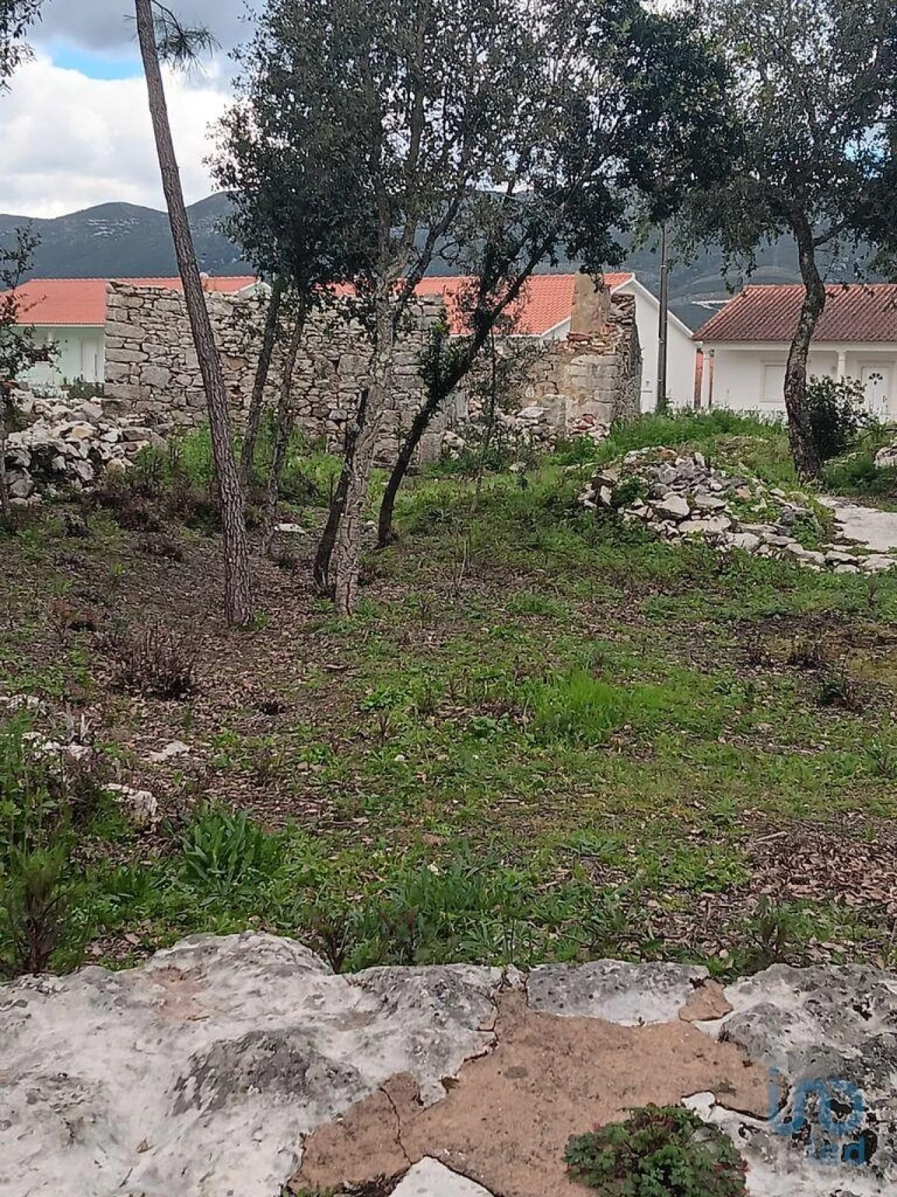 Terreno para Venda em Alcobaça e Vestiaria Foto 9