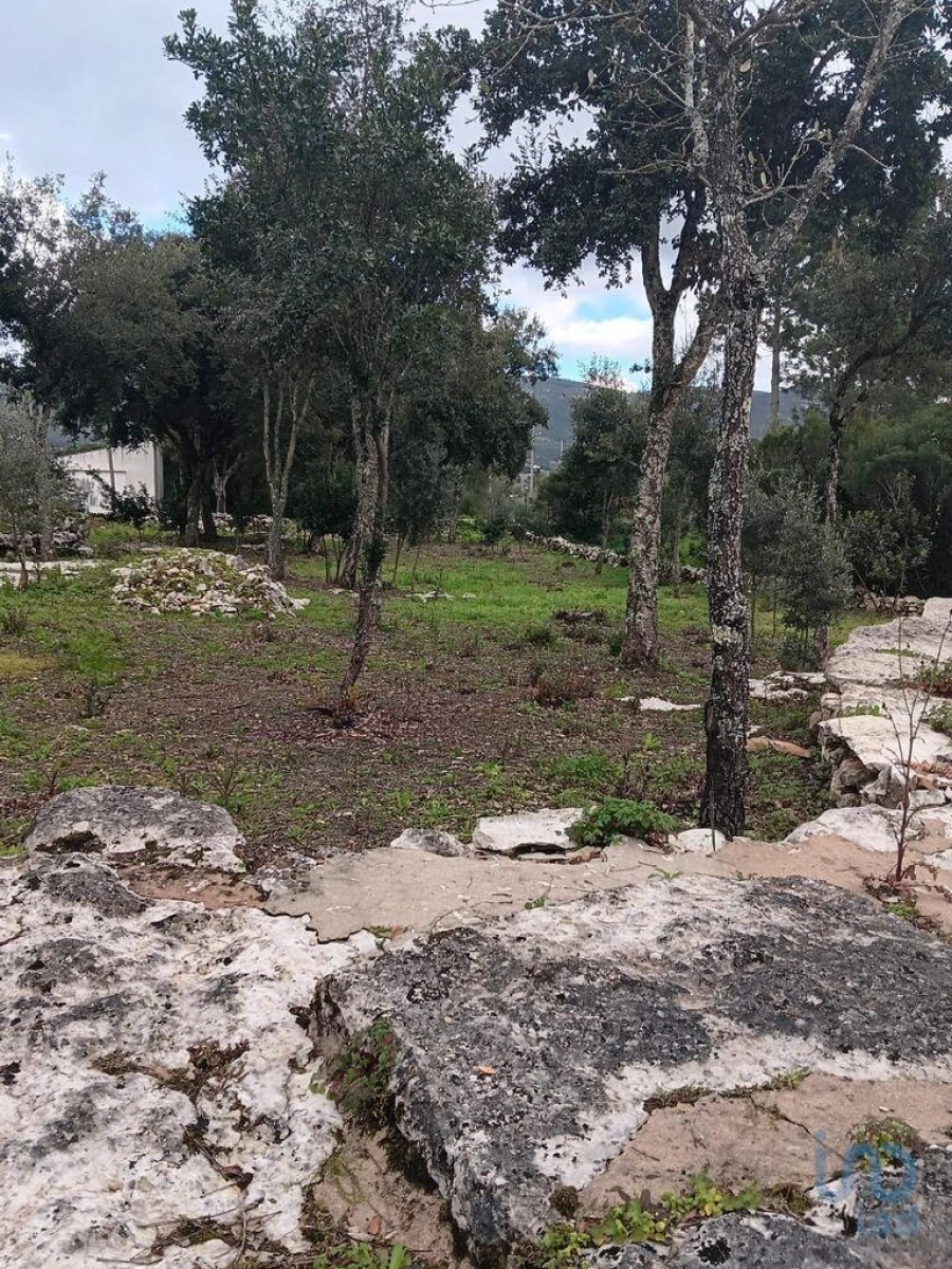 Terreno para Venda em Alcobaça e Vestiaria Foto 8