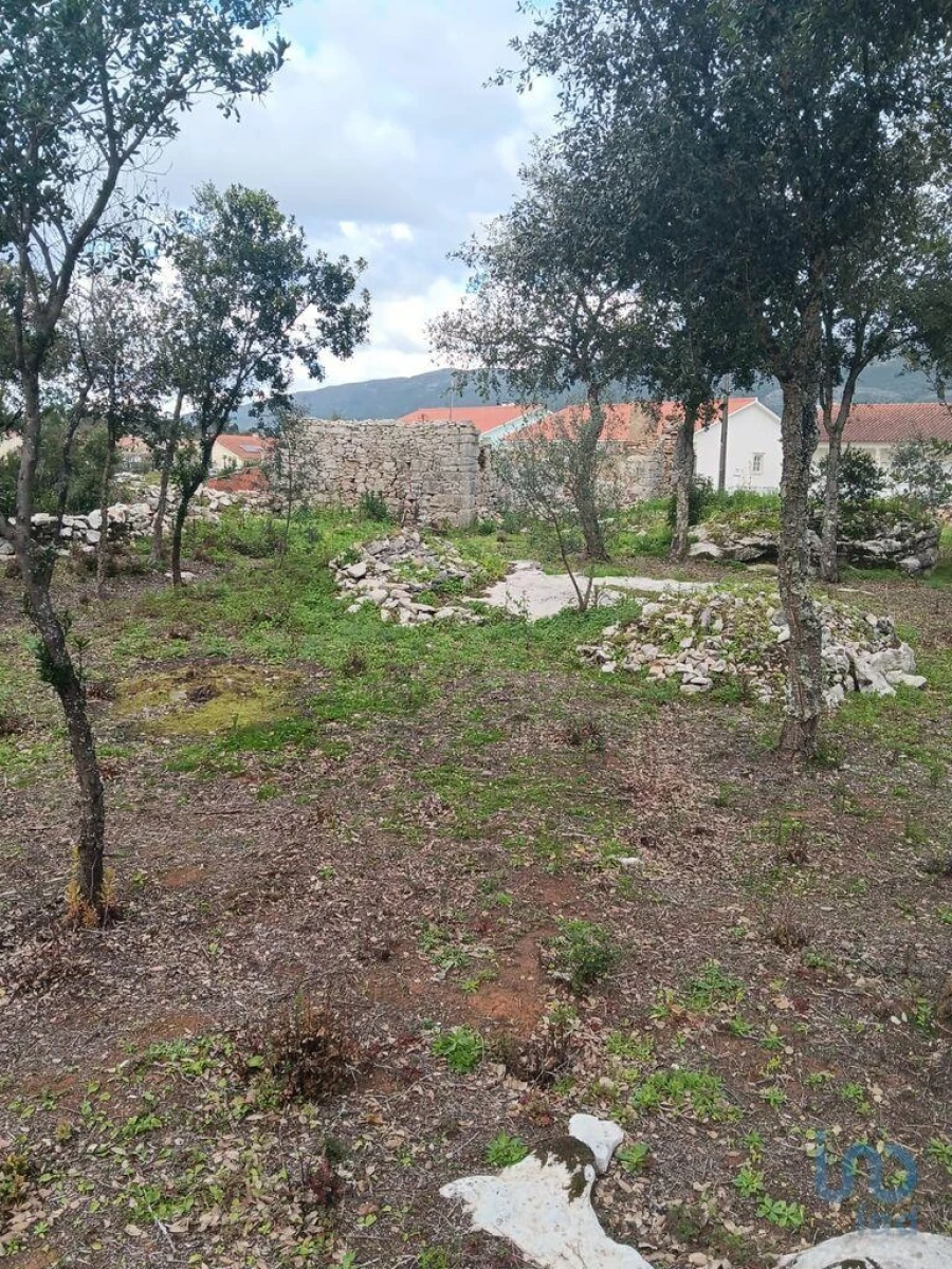 Terreno para Venda em Alcobaça e Vestiaria Foto 7