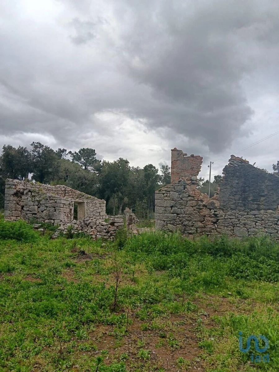 Terreno para Venda em Alcobaça e Vestiaria