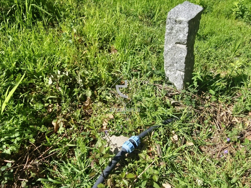 Quinta T2 para Venda em Fornelos e Queijada Foto 18