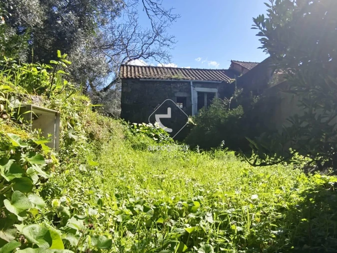 Quinta T2 para Venda em Fornelos e Queijada Foto 4