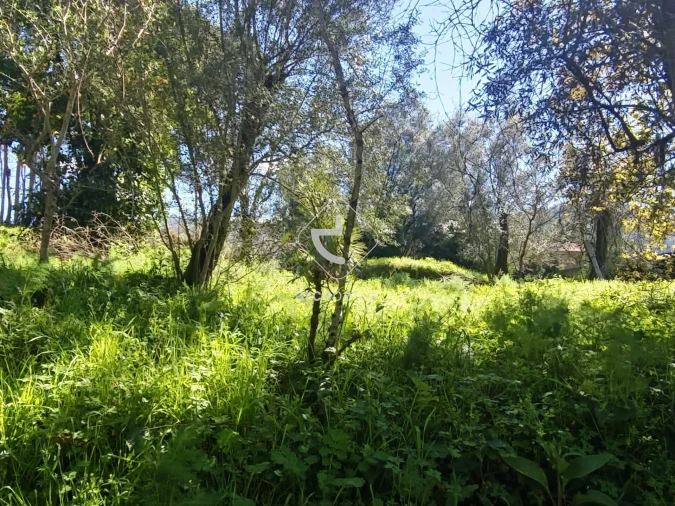 Quinta T2 para Venda em Fornelos e Queijada Foto 20