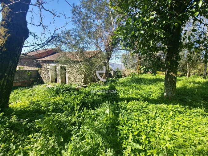 Quinta T2 para Venda em Fornelos e Queijada Foto 2