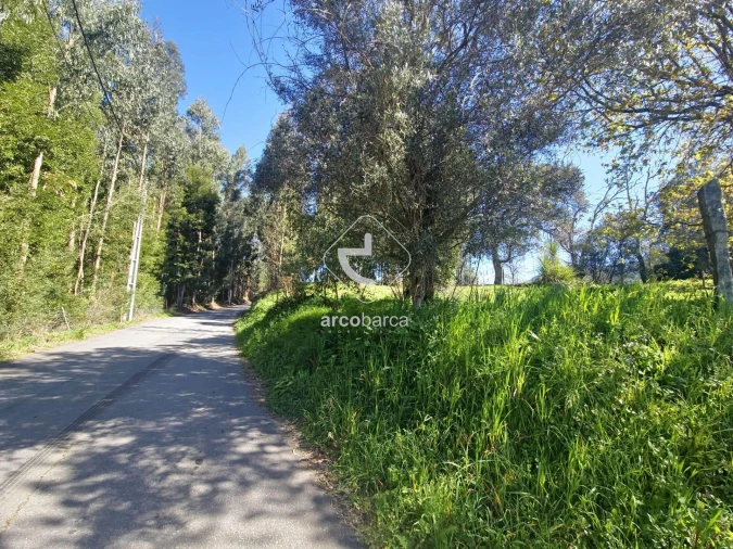 Quinta T2 para Venda em Fornelos e Queijada Foto 14