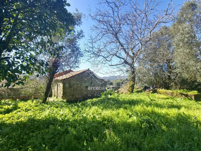 Quinta T2 para Venda em Fornelos e Queijada Foto 1
