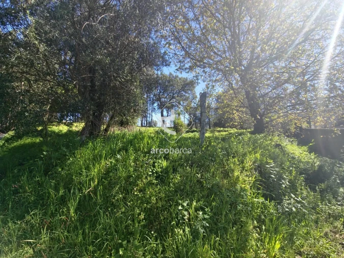 Quinta T2 para Venda em Fornelos e Queijada Foto 13