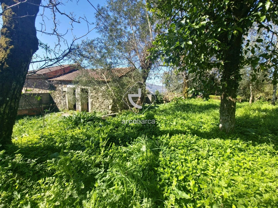 Quinta T2 para Venda em Fornelos e Queijada Foto 3