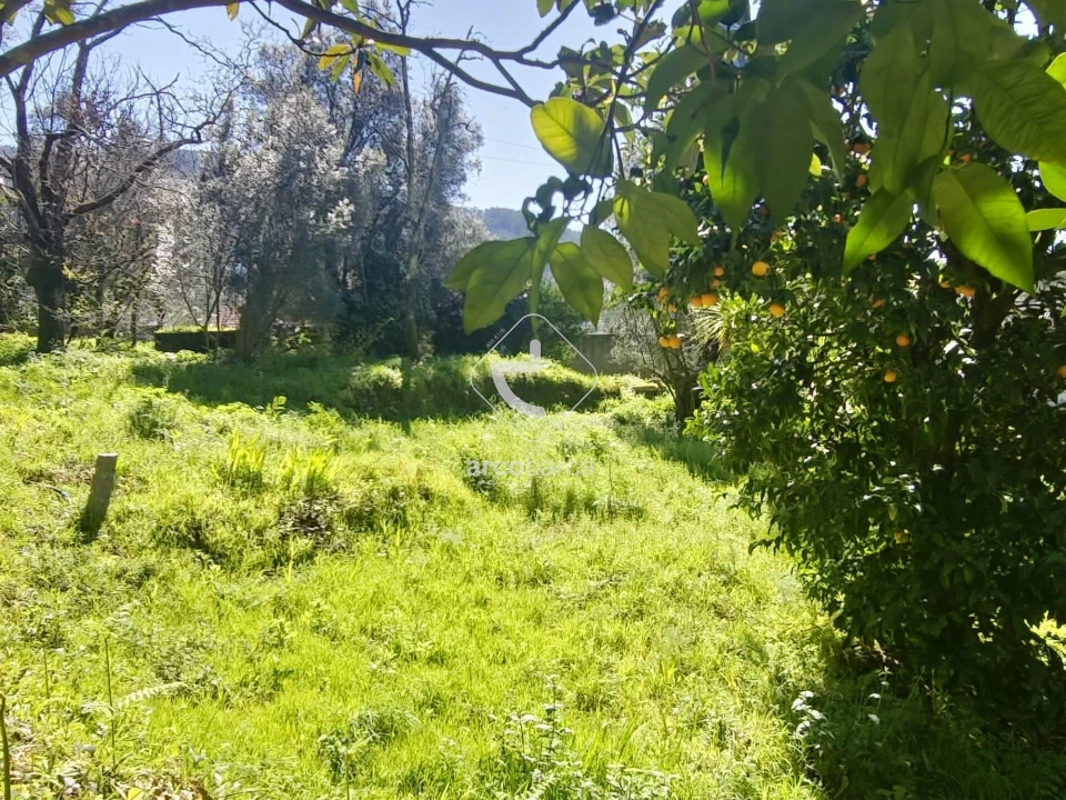 Quinta T2 para Venda em Fornelos e Queijada Foto 19