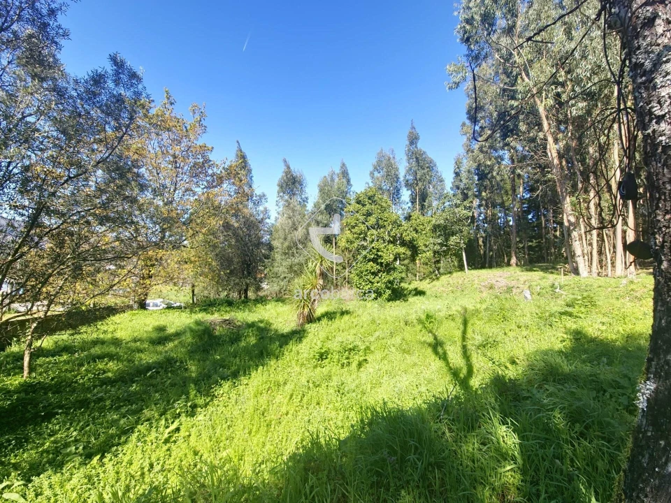 Quinta T2 para Venda em Fornelos e Queijada Foto 10