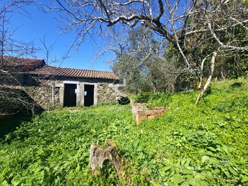 Quinta T2 para Venda em Fornelos e Queijada Foto 1
