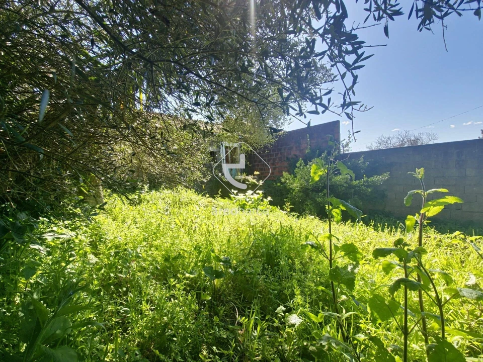 Quinta T2 para Venda em Fornelos e Queijada Foto 9