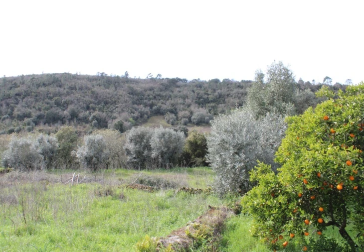 Moradia T3 para Venda em Chãos Foto 10