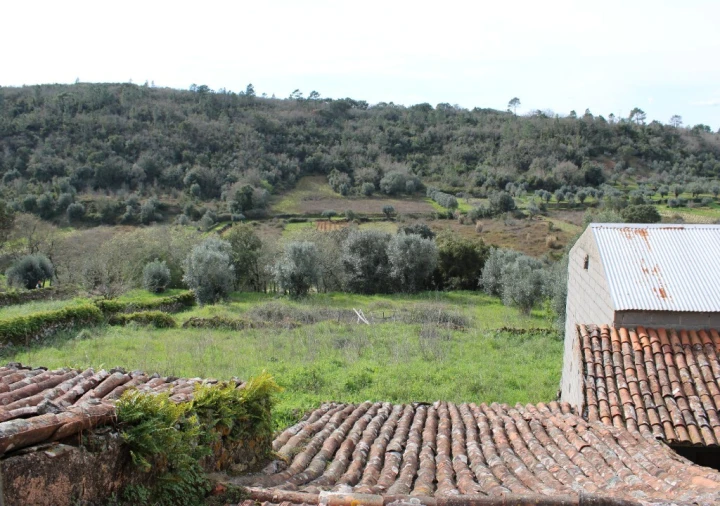 Moradia T3 para Venda em Chãos Foto 8