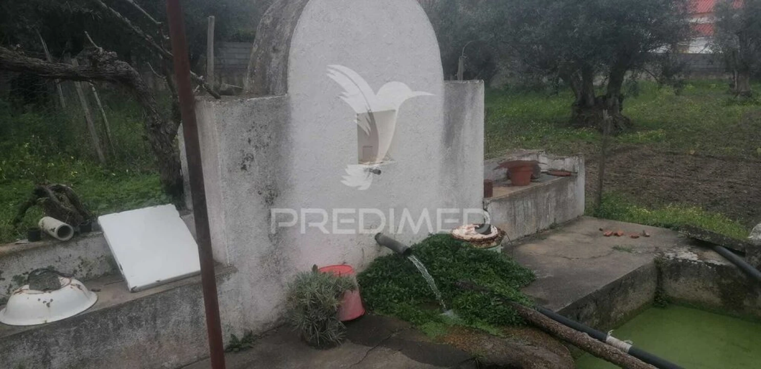 Quinta T6 para Venda em Reguengo e São Julião Foto 8