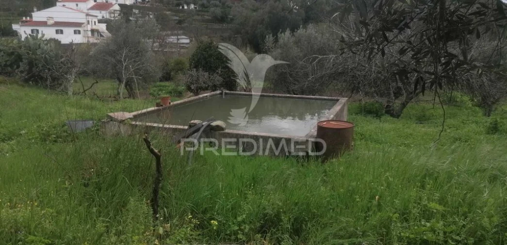 Quinta T6 para Venda em Reguengo e São Julião Foto 10