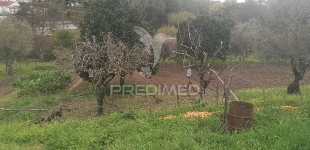 Quinta T6 para Venda em Reguengo e São Julião Foto 12