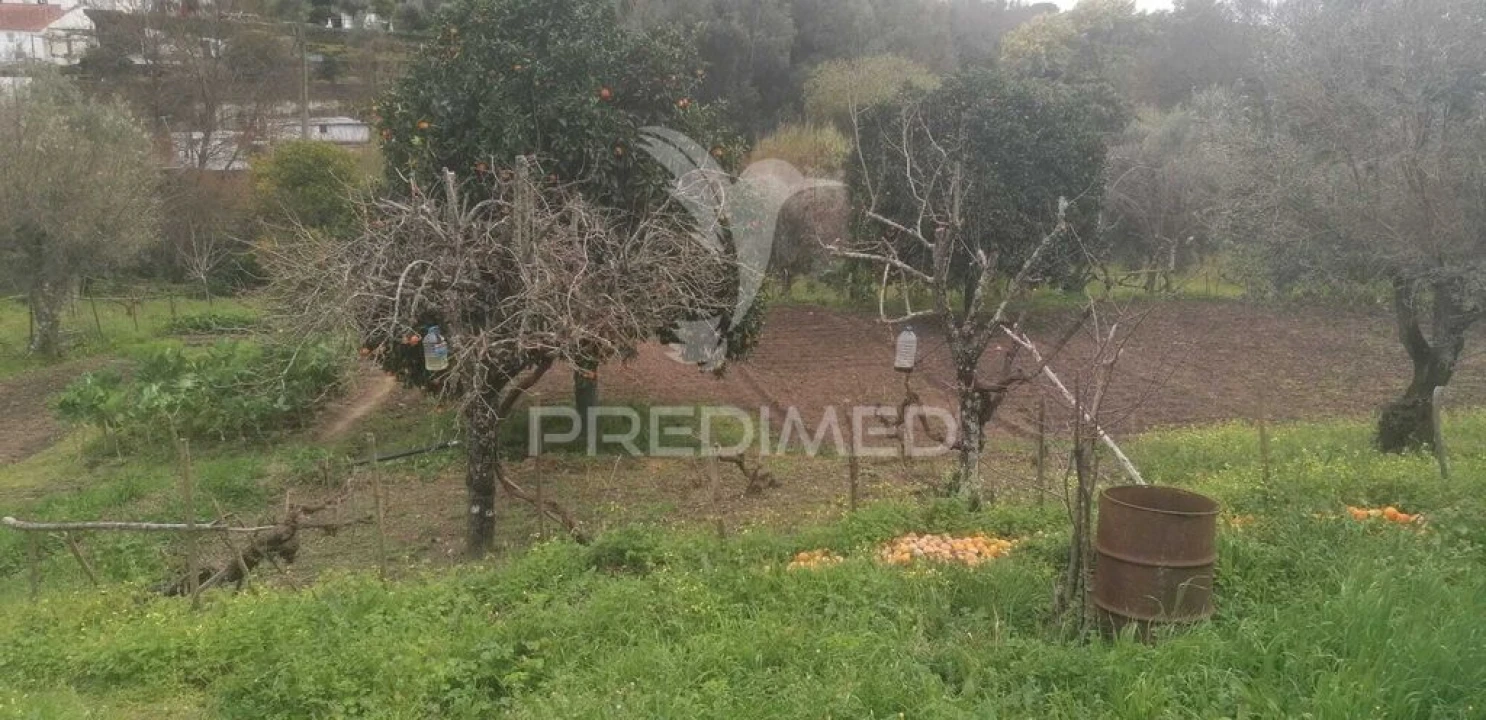 Quinta T6 para Venda em Reguengo e São Julião Foto 12