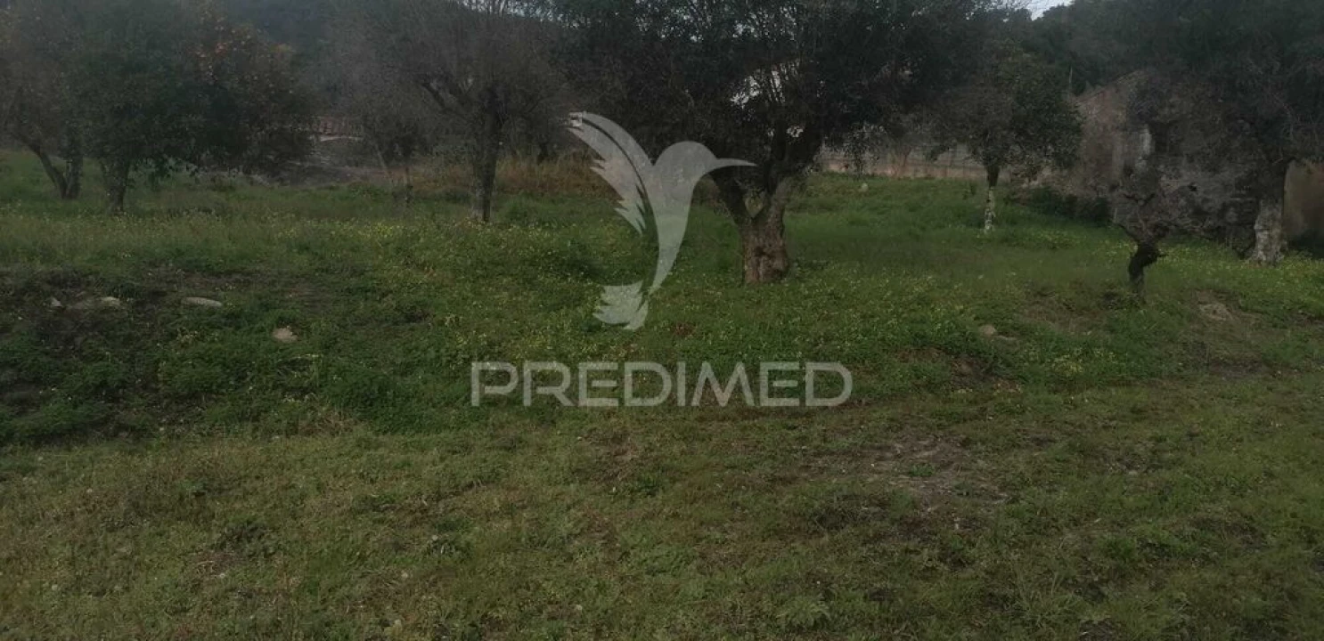 Quinta T6 para Venda em Reguengo e São Julião Foto 11