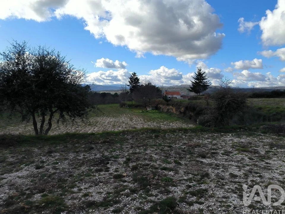 Moradia T5 para Venda em João Antão Foto 22