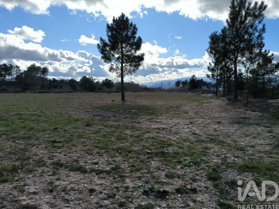 Moradia T5 para Venda em João Antão Foto 16