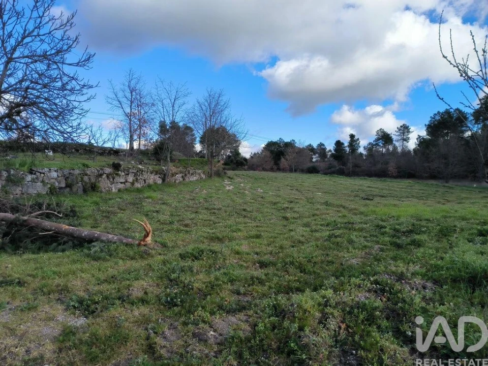 Moradia T5 para Venda em João Antão Foto 19