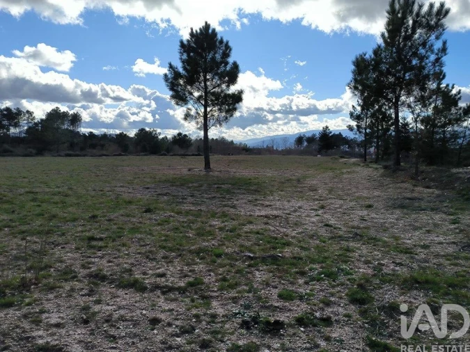 Moradia T5 para Venda em João Antão Foto 16