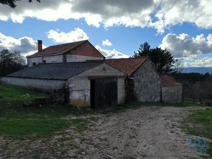 Moradia T5 para Venda em João Antão Foto 5