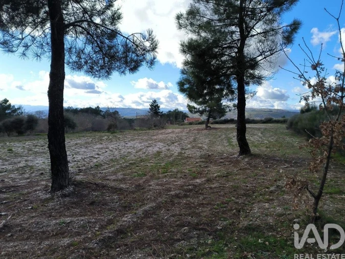 Moradia T5 para Venda em João Antão Foto 21