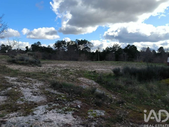 Moradia T5 para Venda em João Antão Foto 20