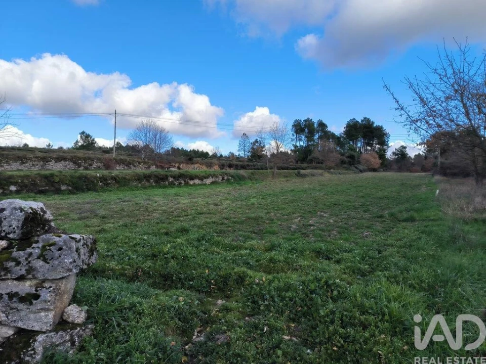 Moradia T5 para Venda em João Antão Foto 18