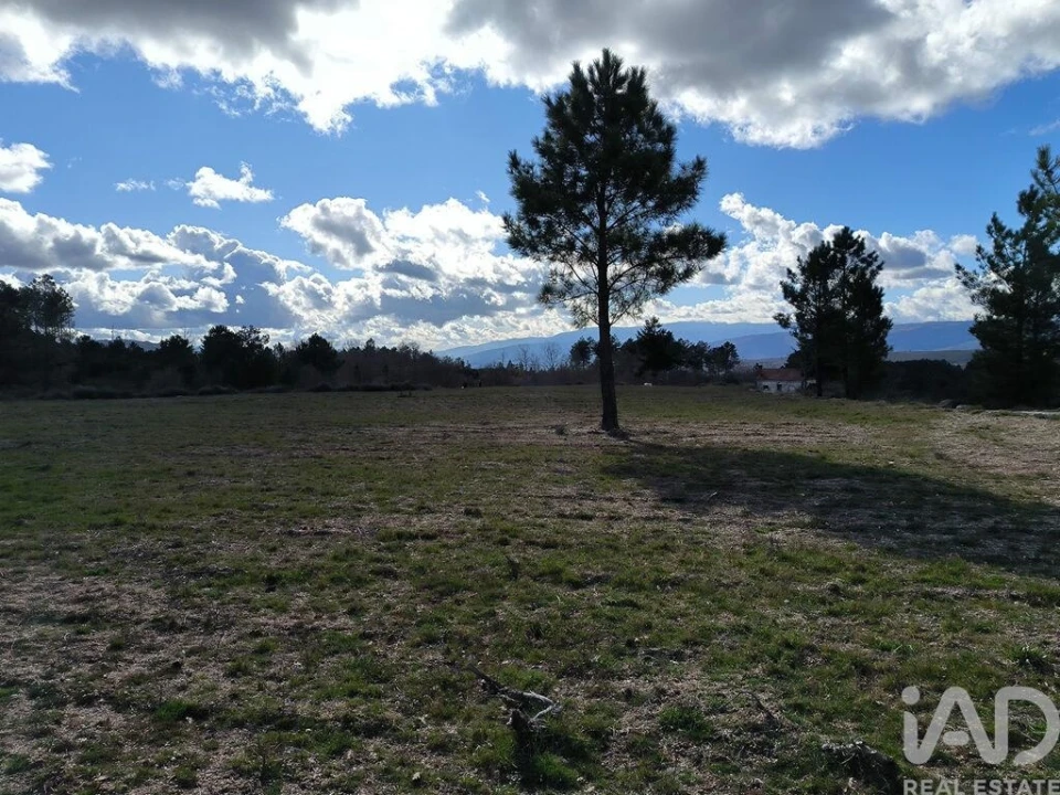 Moradia T5 para Venda em João Antão Foto 15