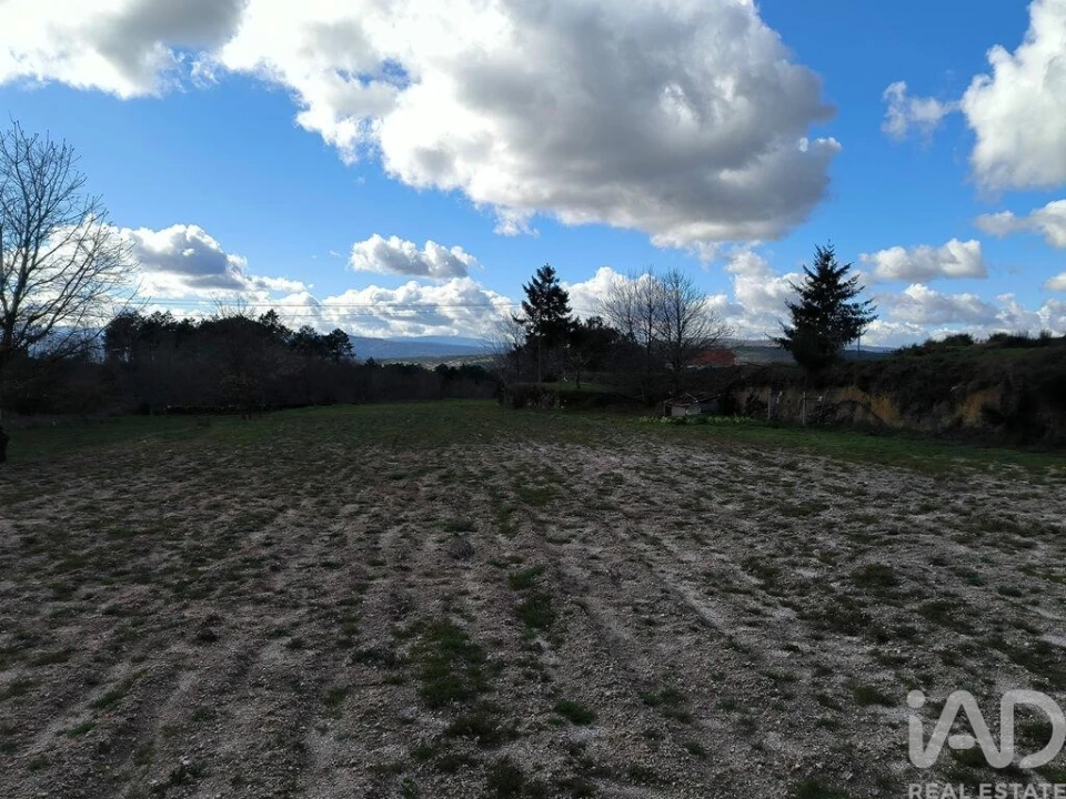 Moradia T5 para Venda em João Antão Foto 23