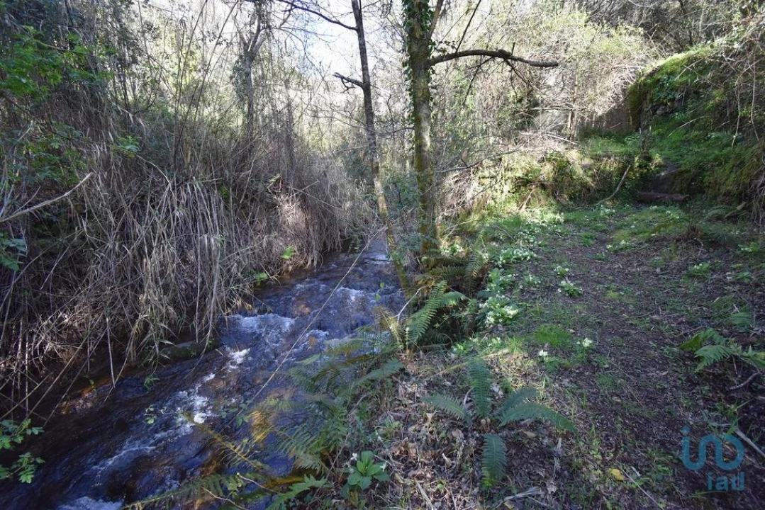 Terreno para Venda em São Miguel, Santa Eufémia e Rabaçal Foto 9