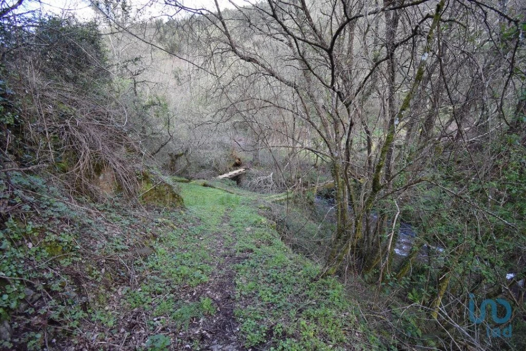 Terreno para Venda em São Miguel, Santa Eufémia e Rabaçal Foto 6