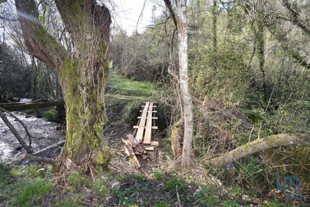 Terreno para Venda em São Miguel, Santa Eufémia e Rabaçal Foto 7